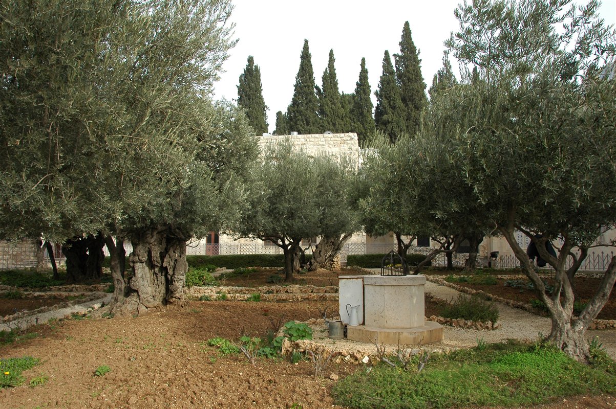 Ogród  Getsemani